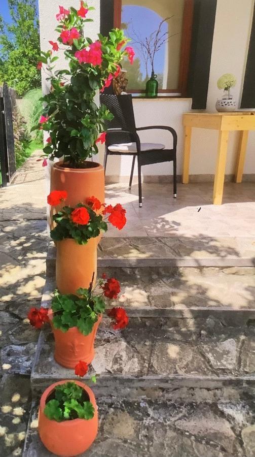 Apartment Villa 125 Hévíz Kültér fotó